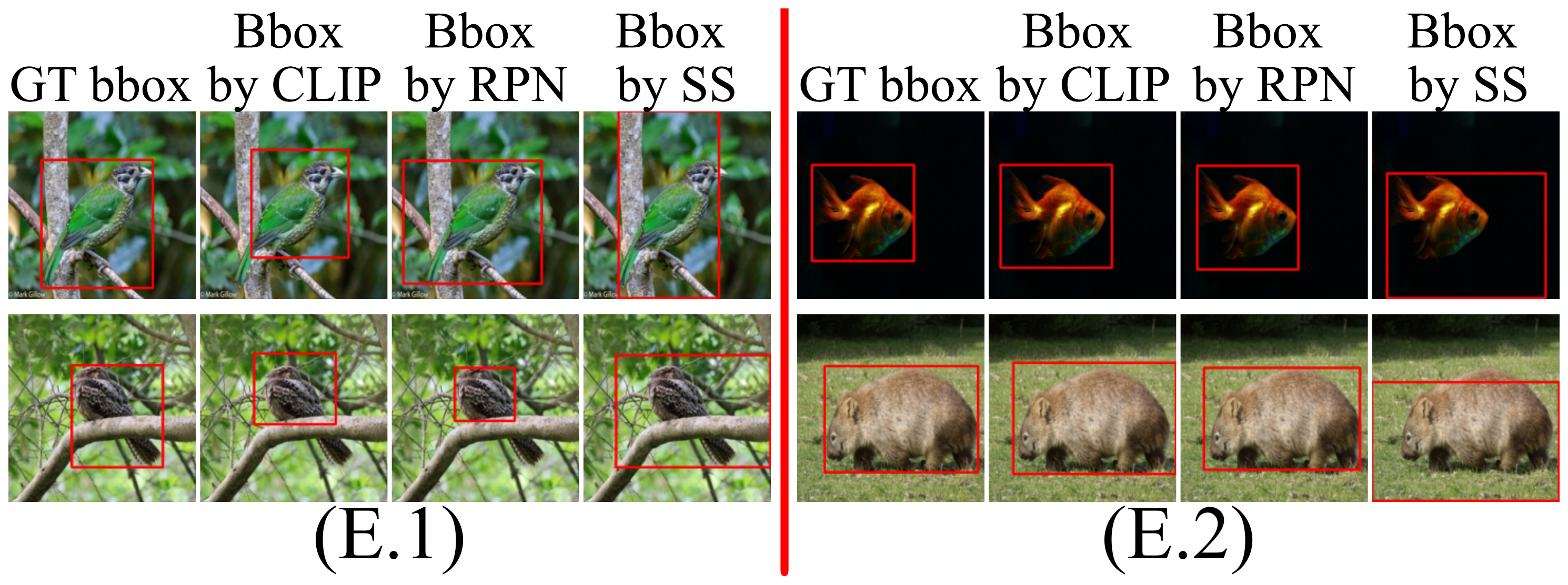 Examples of ground-truth boxes compared with pseudo boxes from CLIP, RPN and Selective Search